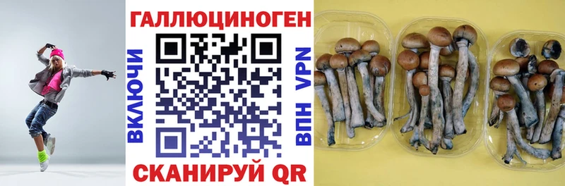 Галлюциногенные грибы ЛСД  Купить закладки  Дивногорск 